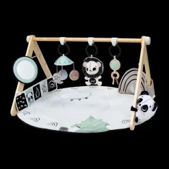 Black & White Gymini