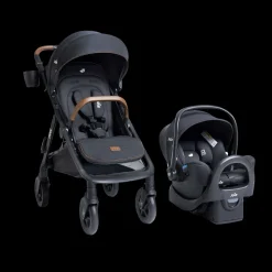 Caraway Whirl And Rue Travel System