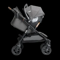 Caraway Whirl And Rue Travel System