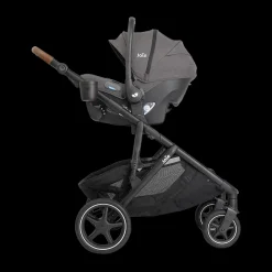 Chive And Mint Travel System