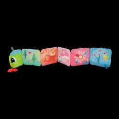 Colorful Journey Caterpillar Book