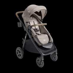 Ginger DLX And Rue Travel System