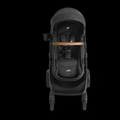 Ginger DLX Stroller