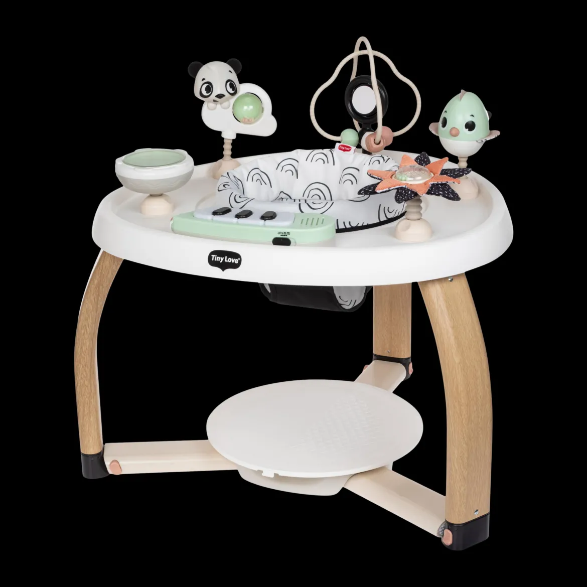 5-in-1 Stationary Activity Center