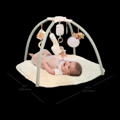 4-in-1 Twist & Fold Activity Gym & Play Mat
