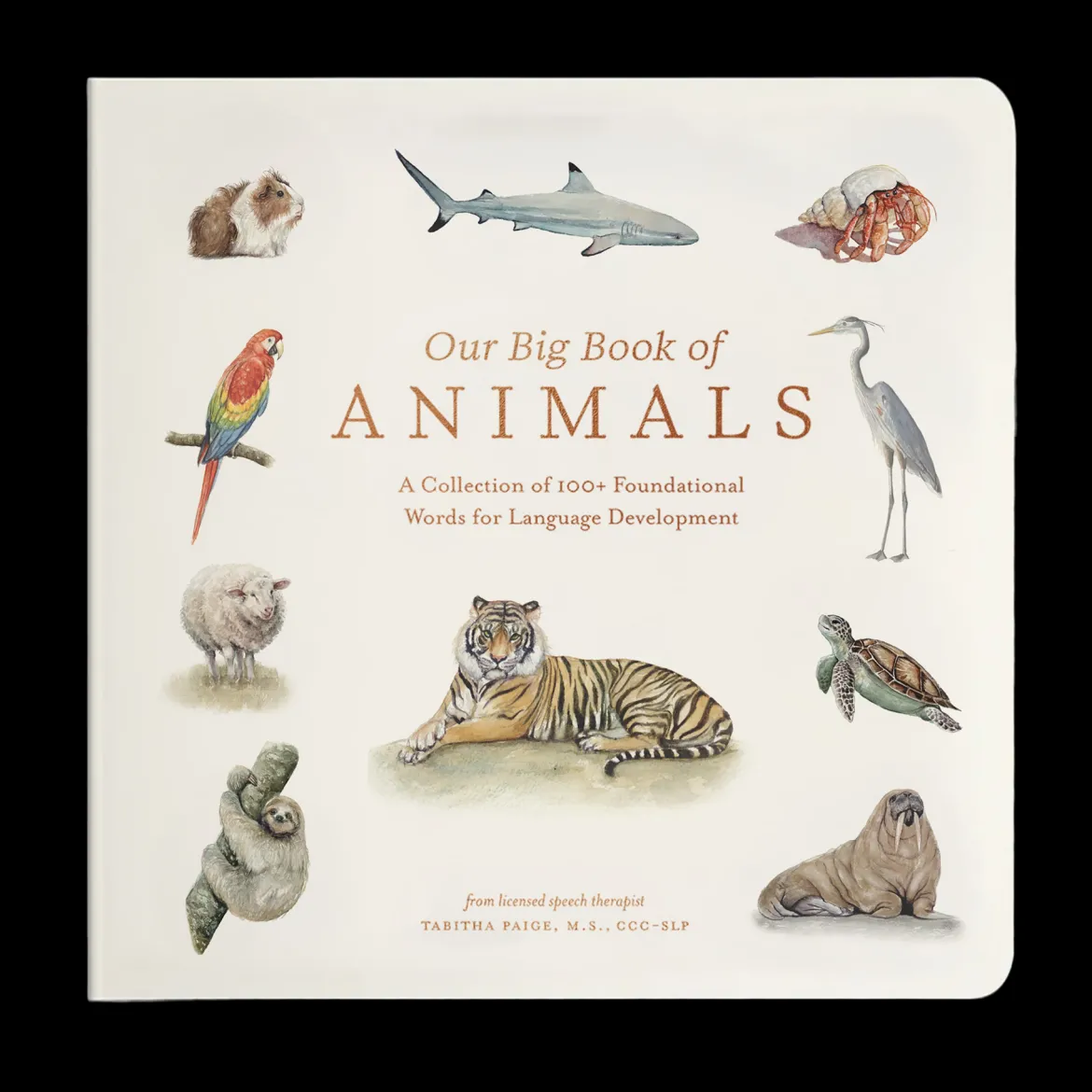 Our Big Book of Animals