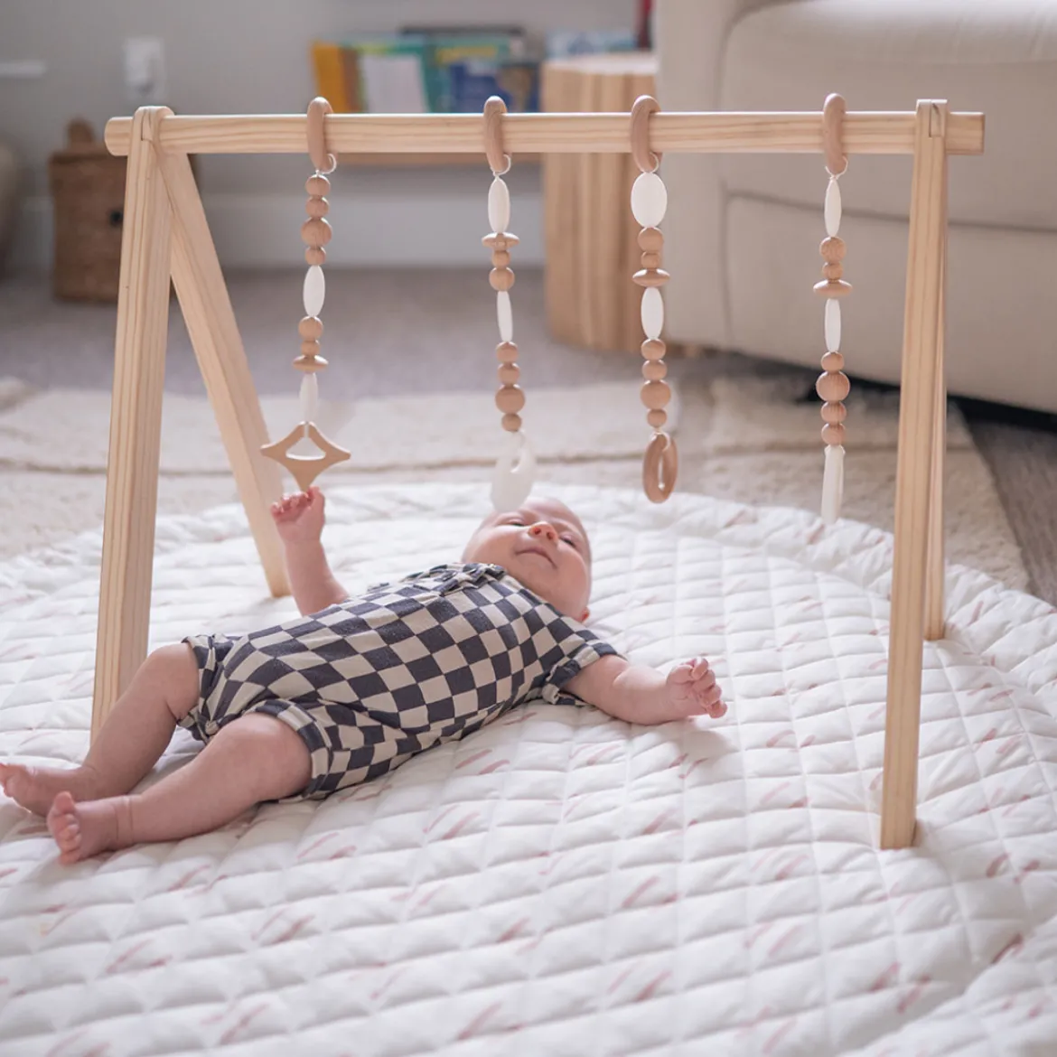 Play Gym Set
