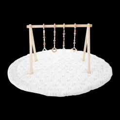 Play Gym Set