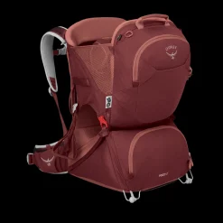 Poco LT Child Carrier