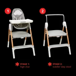 Sit-To-Step High Chair