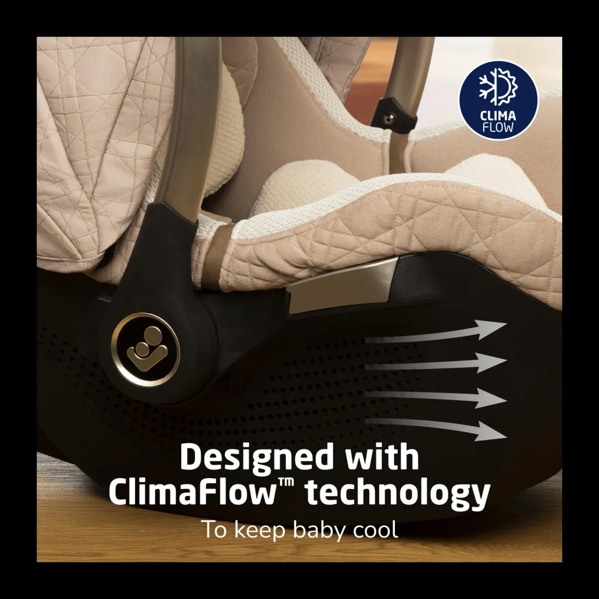 Tana 360 Rotating Travel System