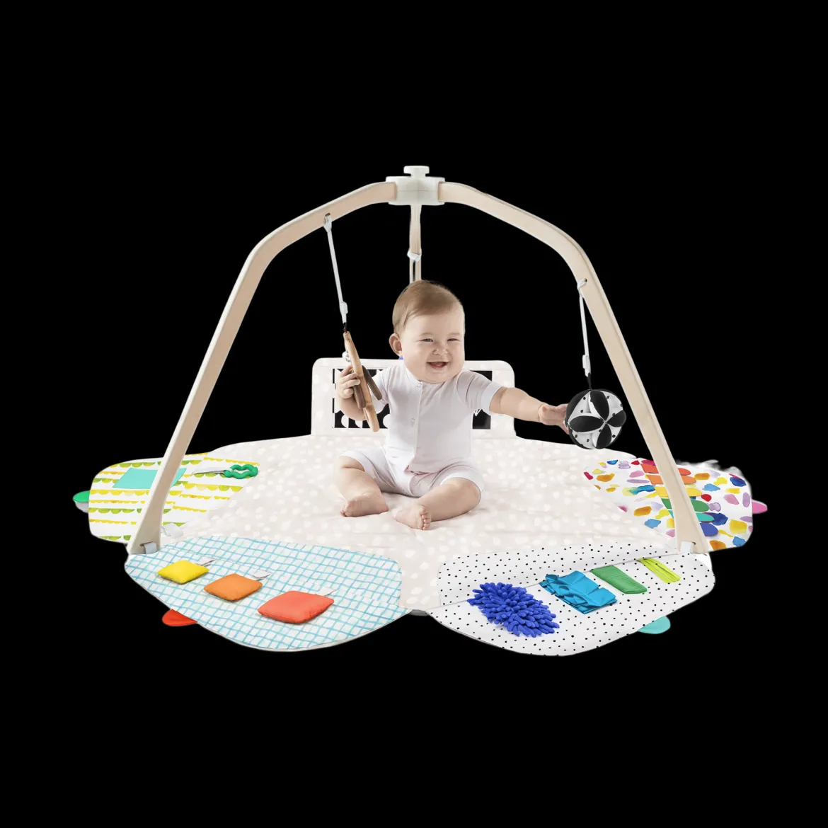 The Play Gym