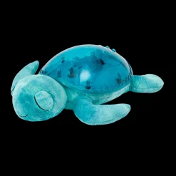 Tranquil Turtle