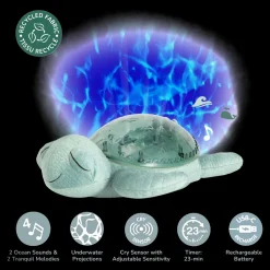 Tranquil Turtle