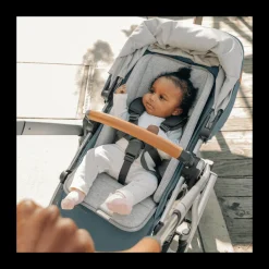 Vista V3 Stroller